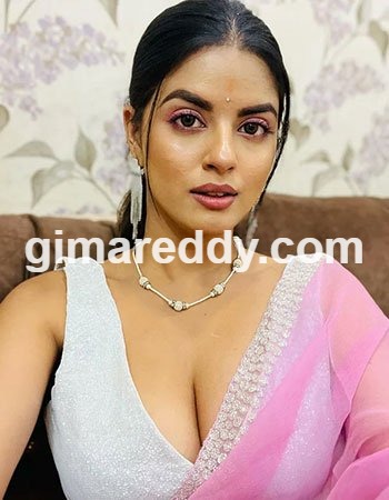 Ahmedabad Call Girl service